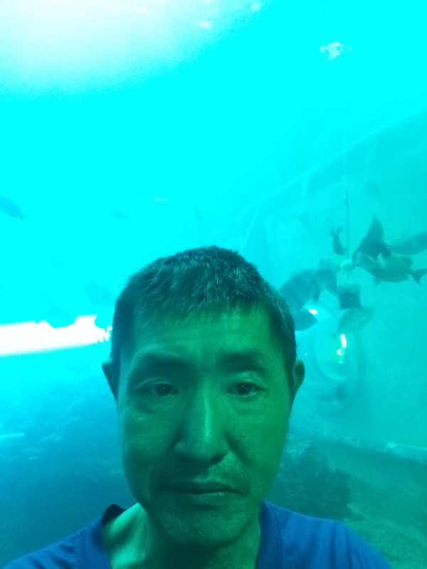 陸戰隊的第一张照片--闽清相亲网