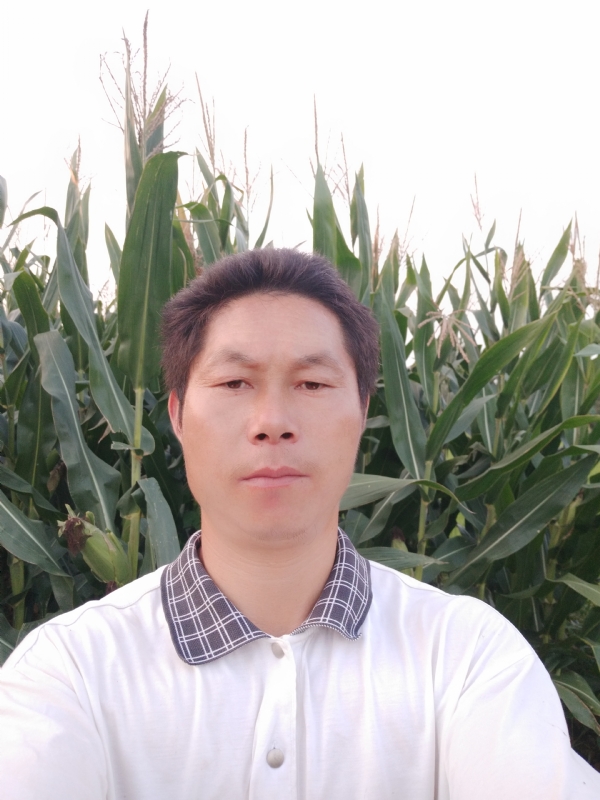四海游龙的第二张照片--闽清相亲网