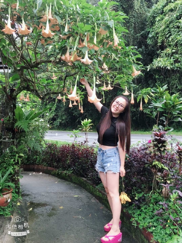 离异单身无子的第二张照片--闽清相亲网