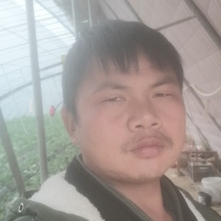 孤狼‘的第一张照片--闽清相亲网