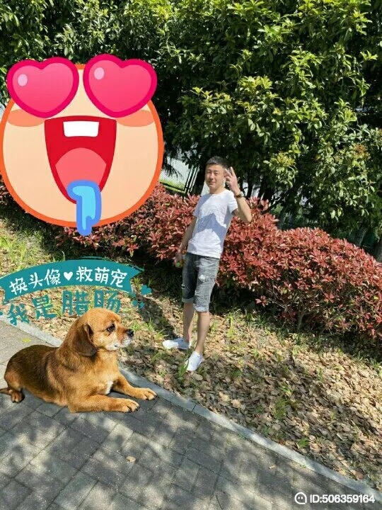 我若不坚强谁替我勇敢的第五张照片--闽清相亲网