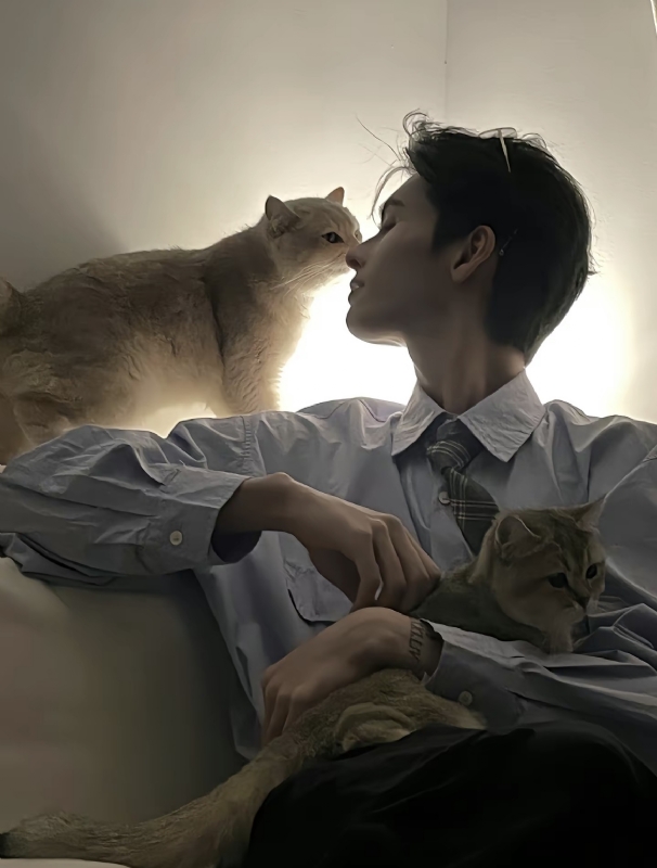 怪猫的第一张照片--闽清相亲网