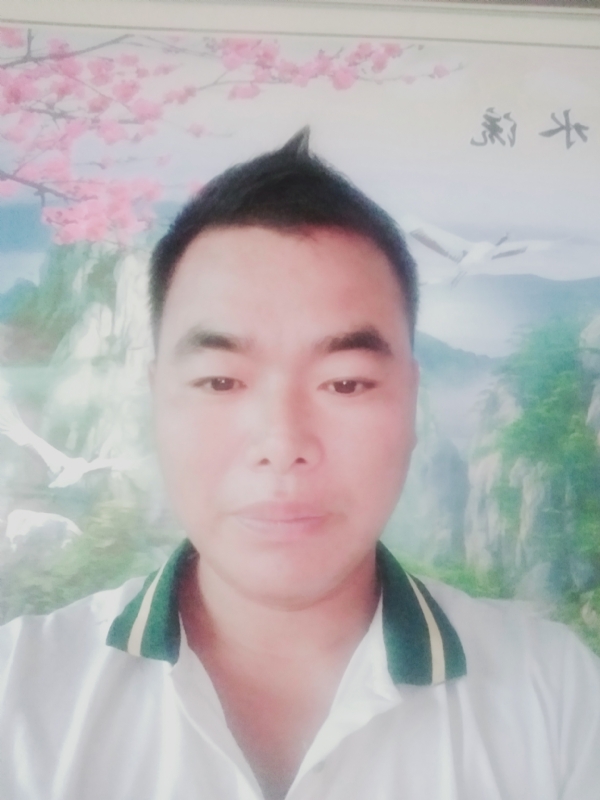 阳光男孩的第二张照片--闽清相亲网